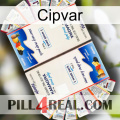 Cipvar kamagra1
